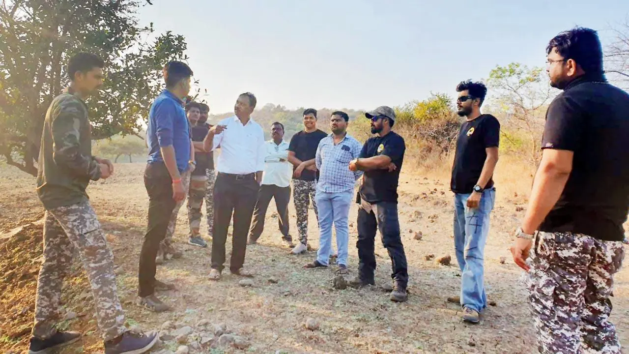 ​Maharashtra: Hunt for wandering tiger in Solapur suspended 
