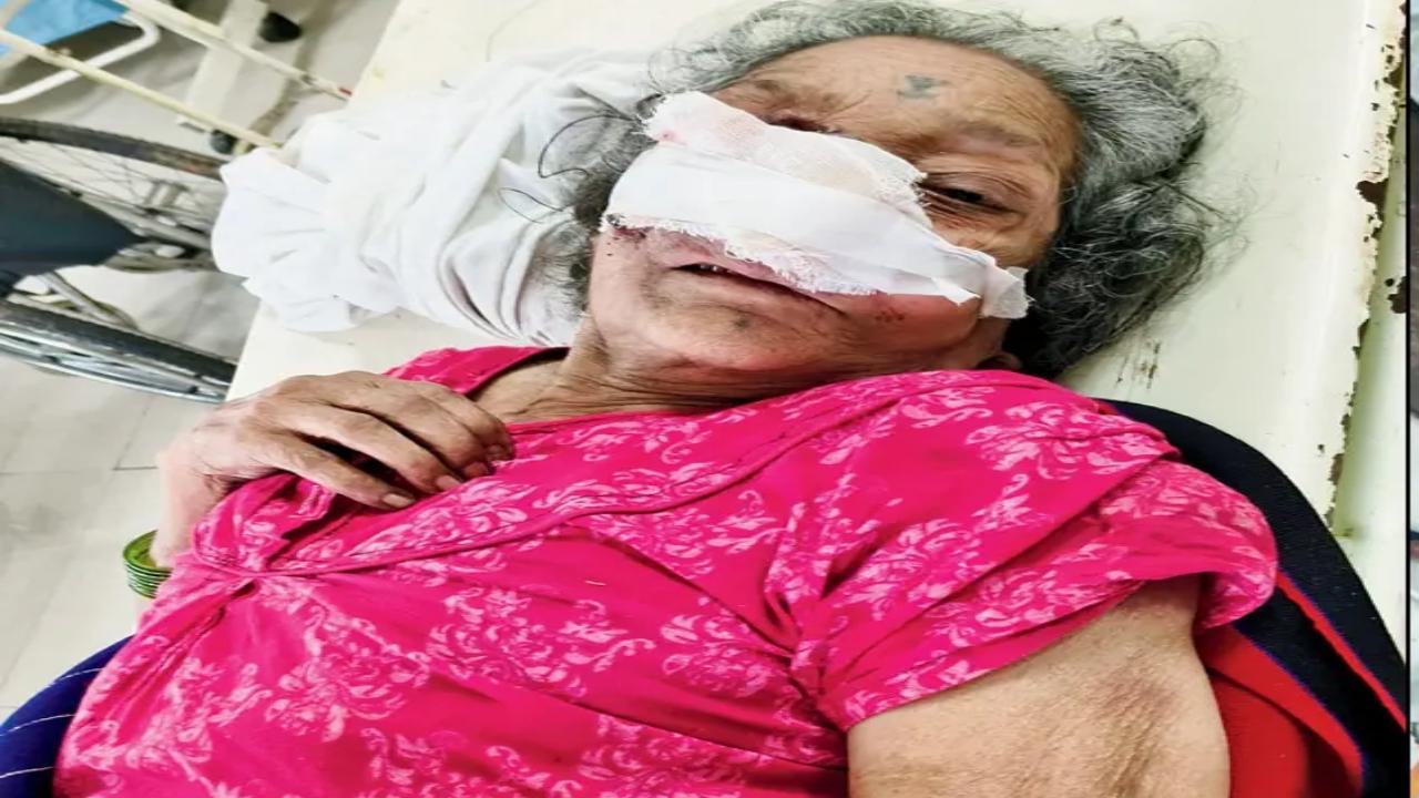 ​Elderly woman dumped in Aarey: Grandson says he is ‘shocked’ 