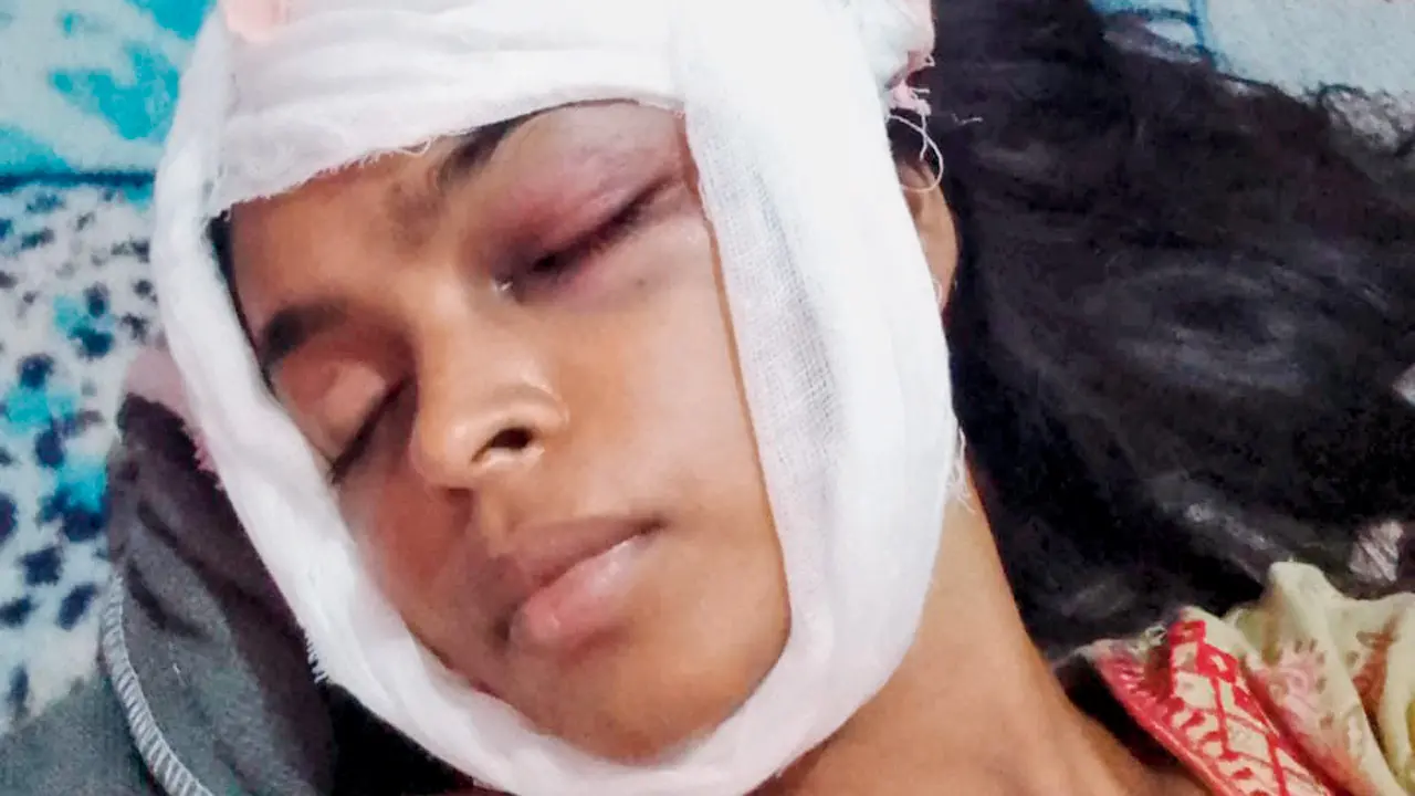 ​Mumbai: Airoli man breaks into home, assaults woman over dog poop 