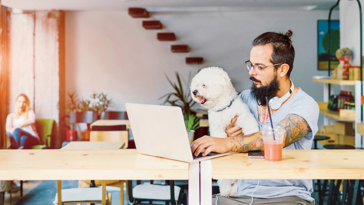​Can pet-friendly offices help employees de-stress? 