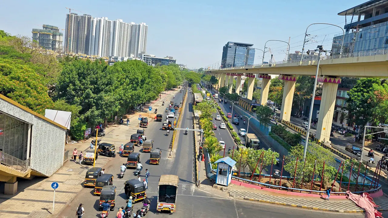 ​Outcry as 162 trees face axe for Pimpri-Nigdi Metro project 