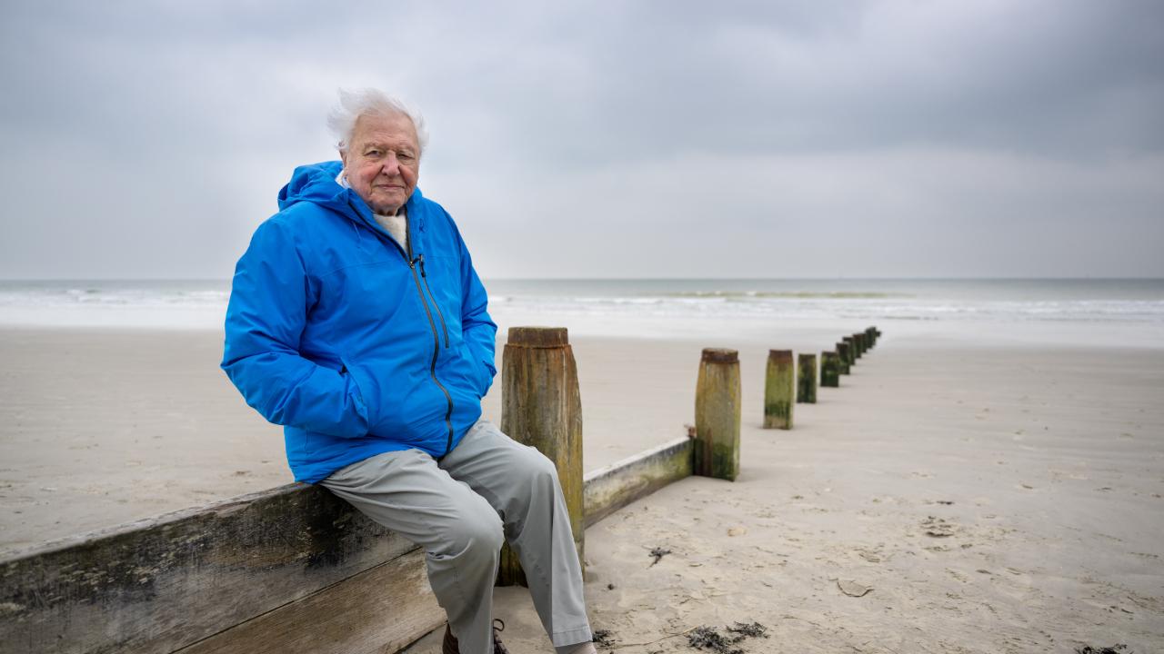 David Attenborough: My lifetime coincided with the great age of ocean discovery 