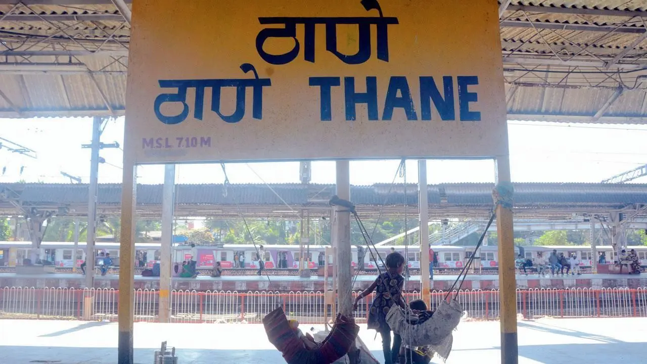 ​Tension in Thane after severed animal head found; police suspect buffalo 