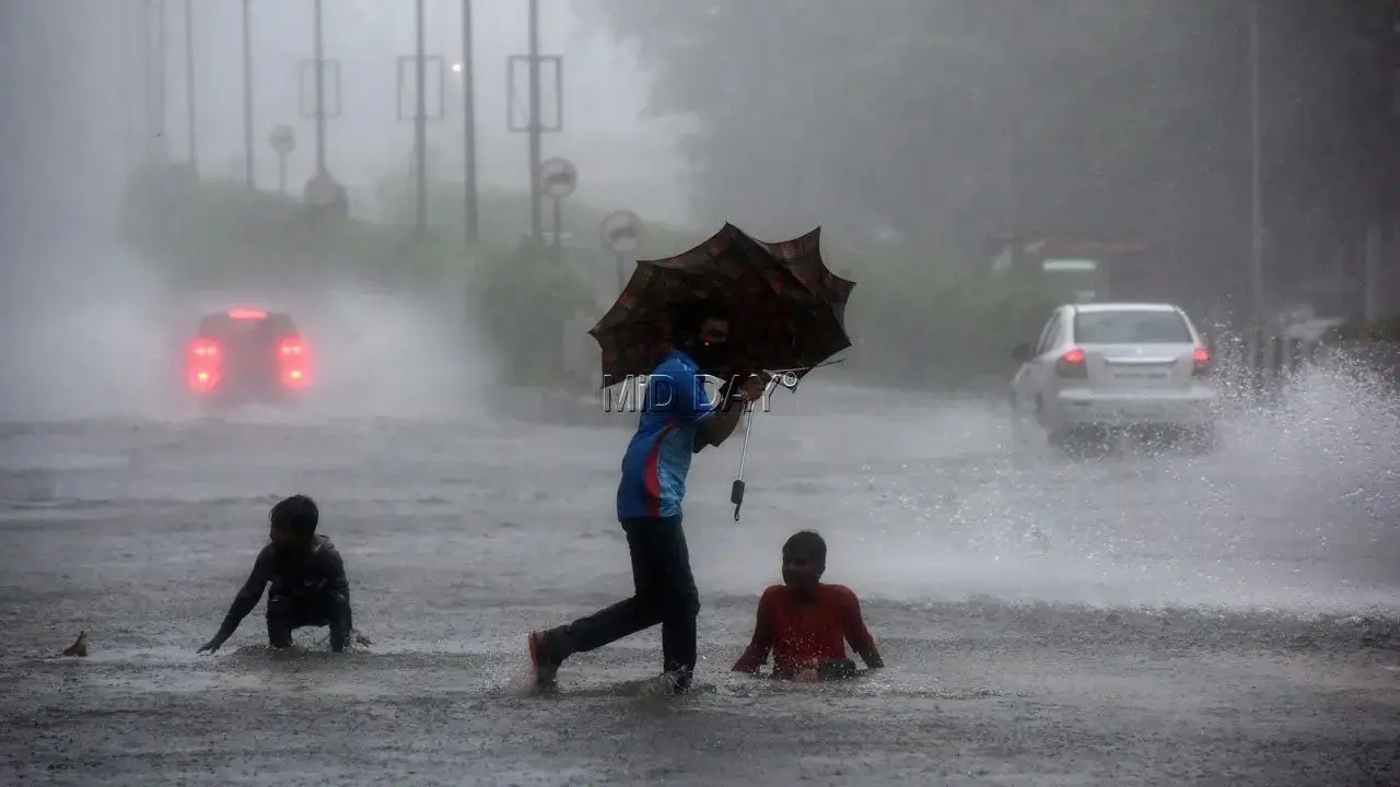 ​IMD issues red alert for Mumbai; brace for thunderstorms, lightning, heavy rain 