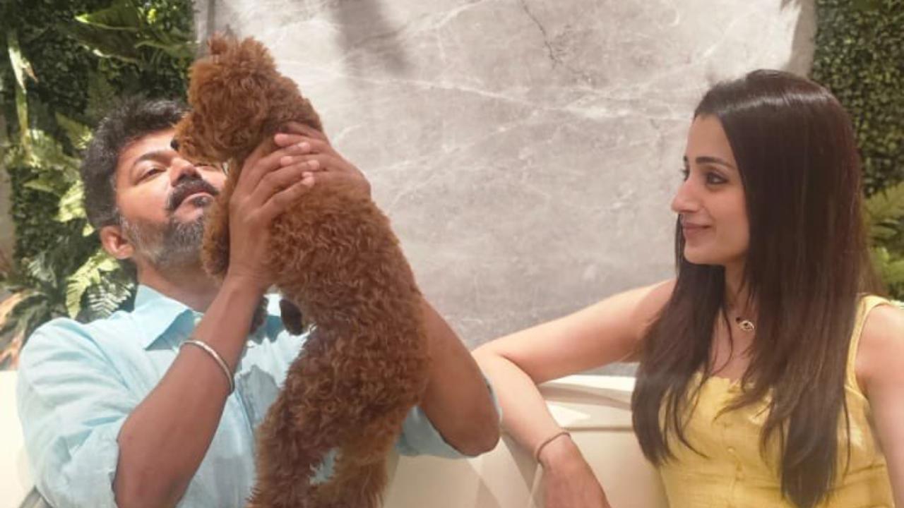Trisha shares most adorable picture with Thalapathy Vijay as he turns 51 