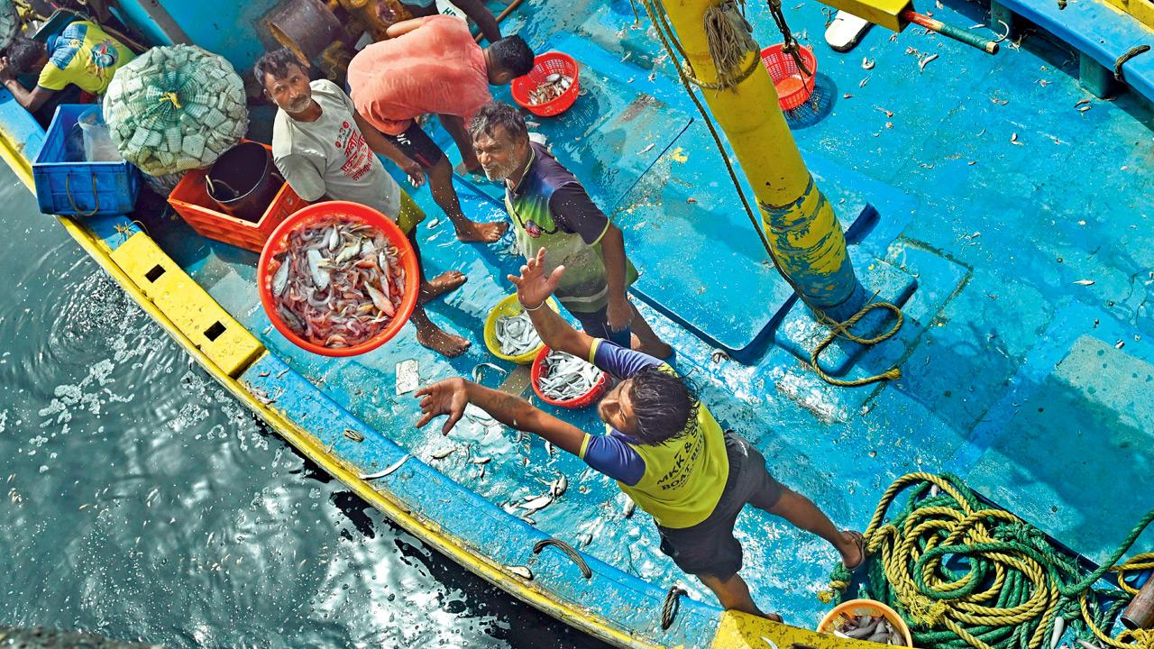​Mumbai Diary: Monday Dossier 