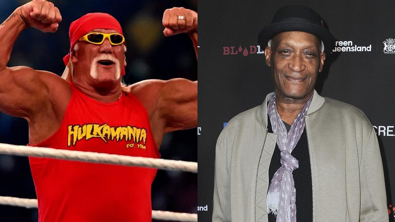 Emmy Awards 2025 In Memoriam misses out Hulk Hogan, Polly Holliday, Tony Todd 
