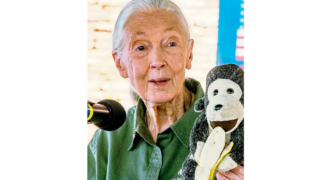 ​Celebrate renowned primatologist Jane Goodall`s life with these recommendations 