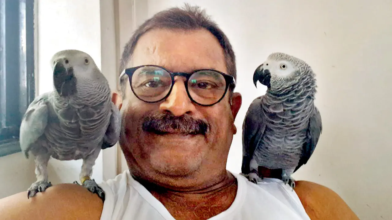 ​Mumbai: Beloved African grey parrot ‘Pappu’ reunited with owner 