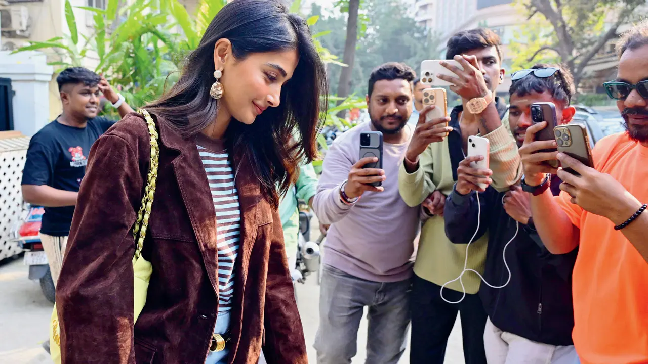 ​Sushi and shutter rolls 