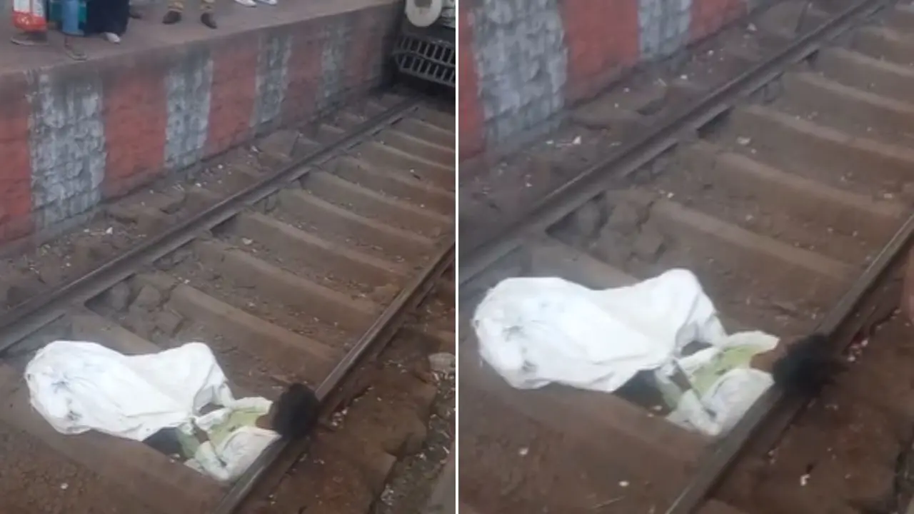 ​Mumbai local train services affected after `drunk man` lies on tracks at CSMT 