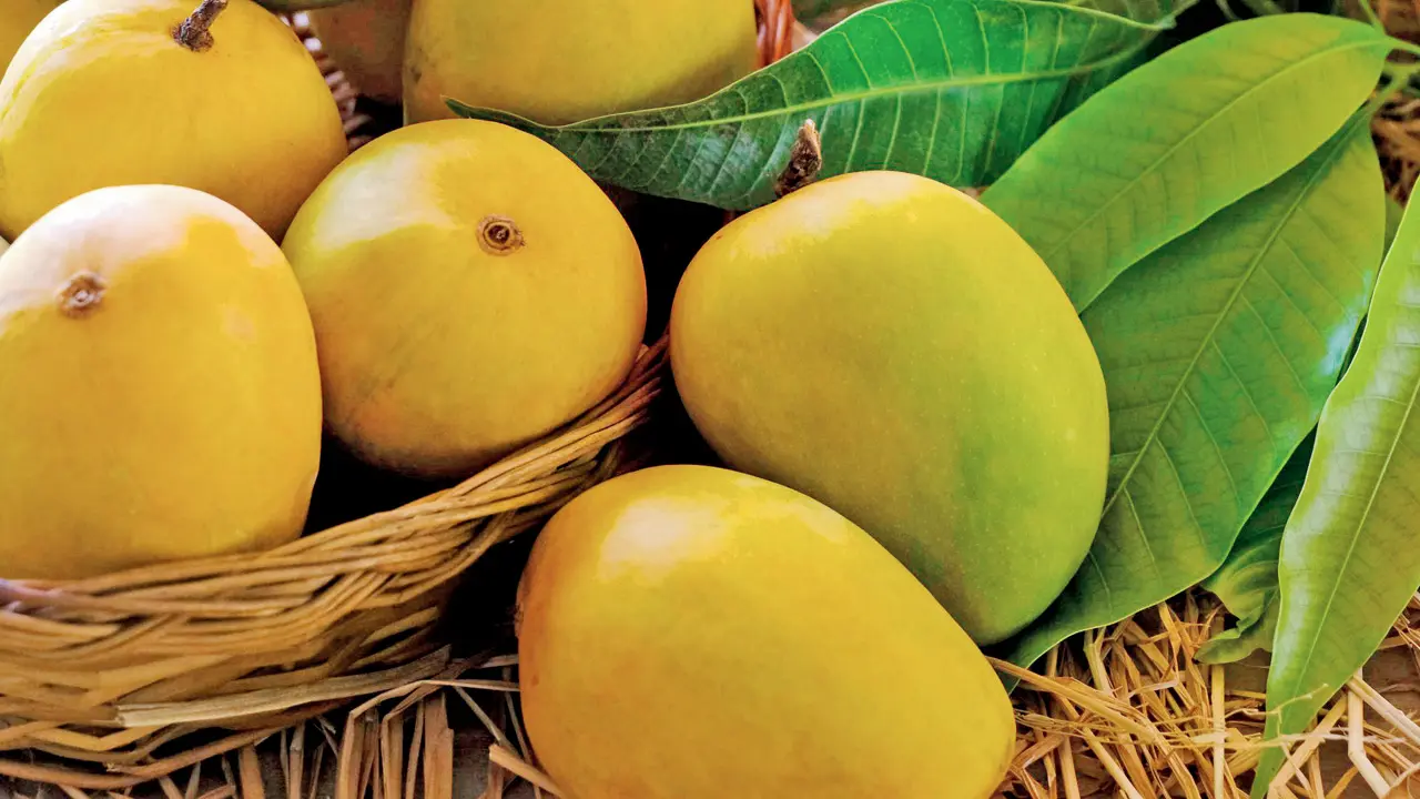 ​Not all that’s saffron is hapus: Mango shortage sparks ‘imposter’ Alphonsos 