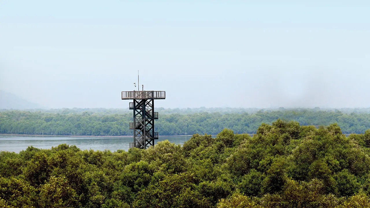 ​Gorai Mangrove Park in Mumbai likely to open to public in April 