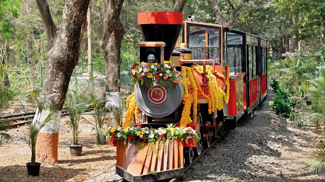Engine issues brings newly launched SGNP toy train service, `Van Rani` to a halt