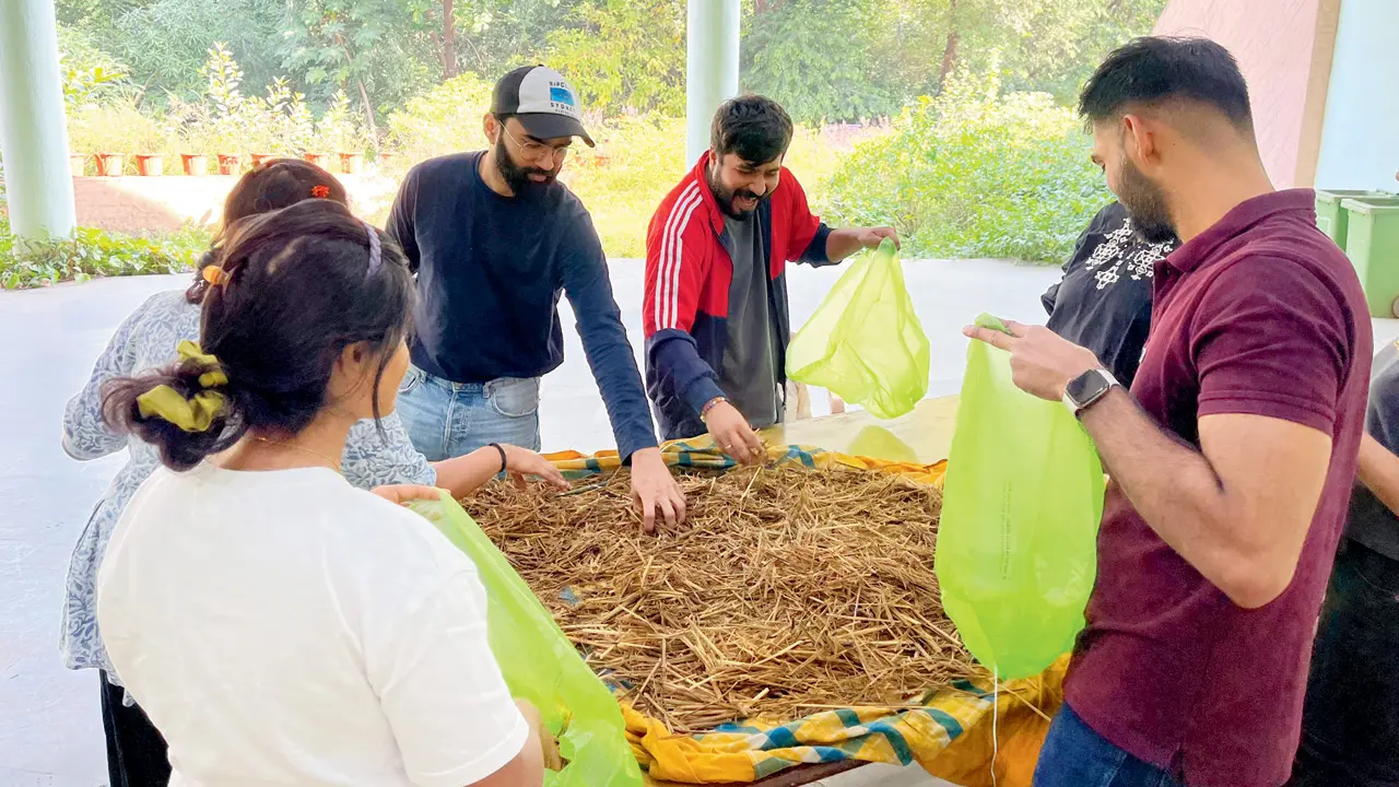 ​Discover the magic of growing Oyster Mushrooms indoors 