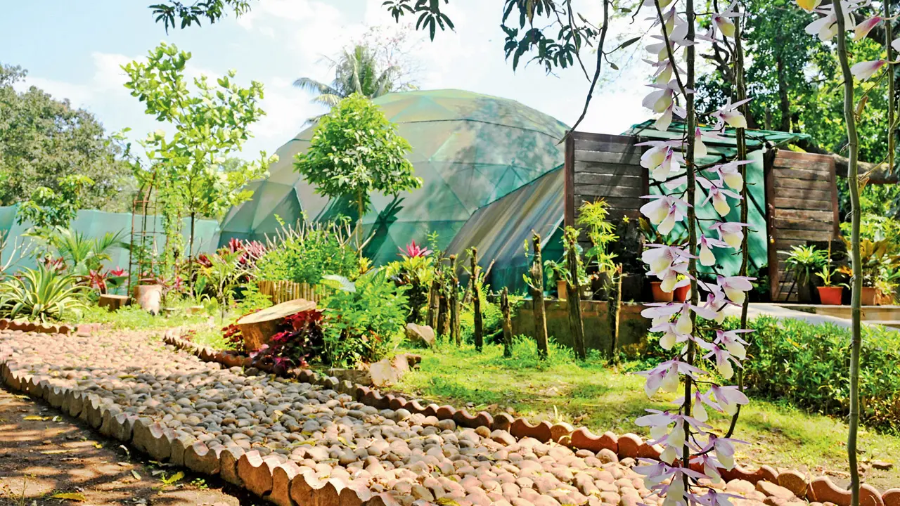 ​Simply extra-orchid-nary! Inside SGNP’s beautiful orchidarium 