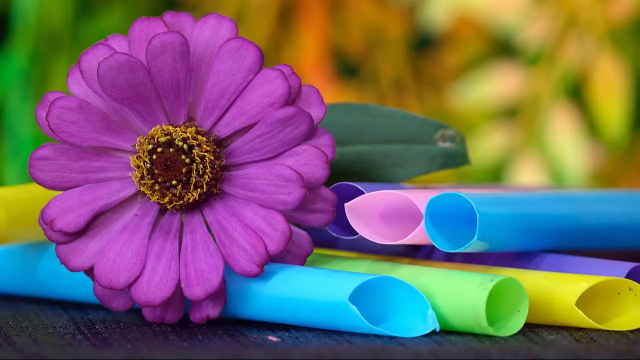 ​Maharashtra govt orders crackdown on sale of plastic flowers 