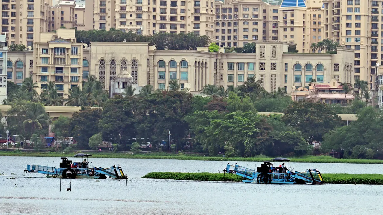 BMC nears completion of Powai lake sewage-free project