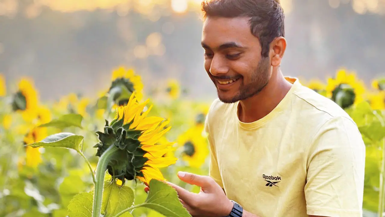 ​Boisar farmers turn blooming sunflower fields into nature education hotspot 