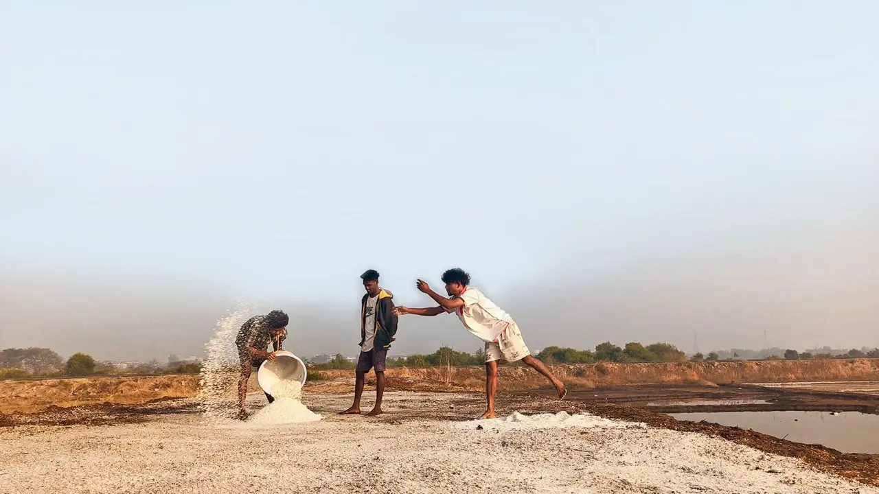 ​Immerse in this Vasai saltpan walk to learn how local communities make it 