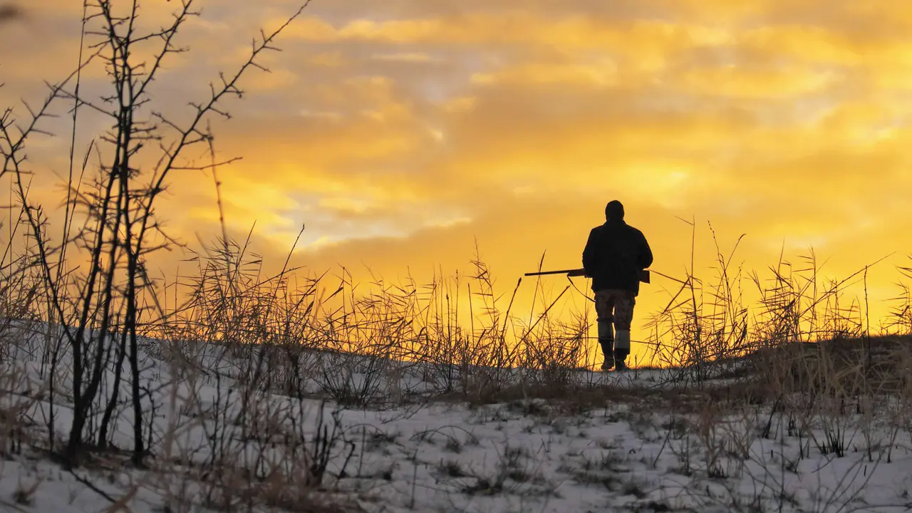 ​Conservationists push for dedicated wildlife crime unit in Maharashtra 