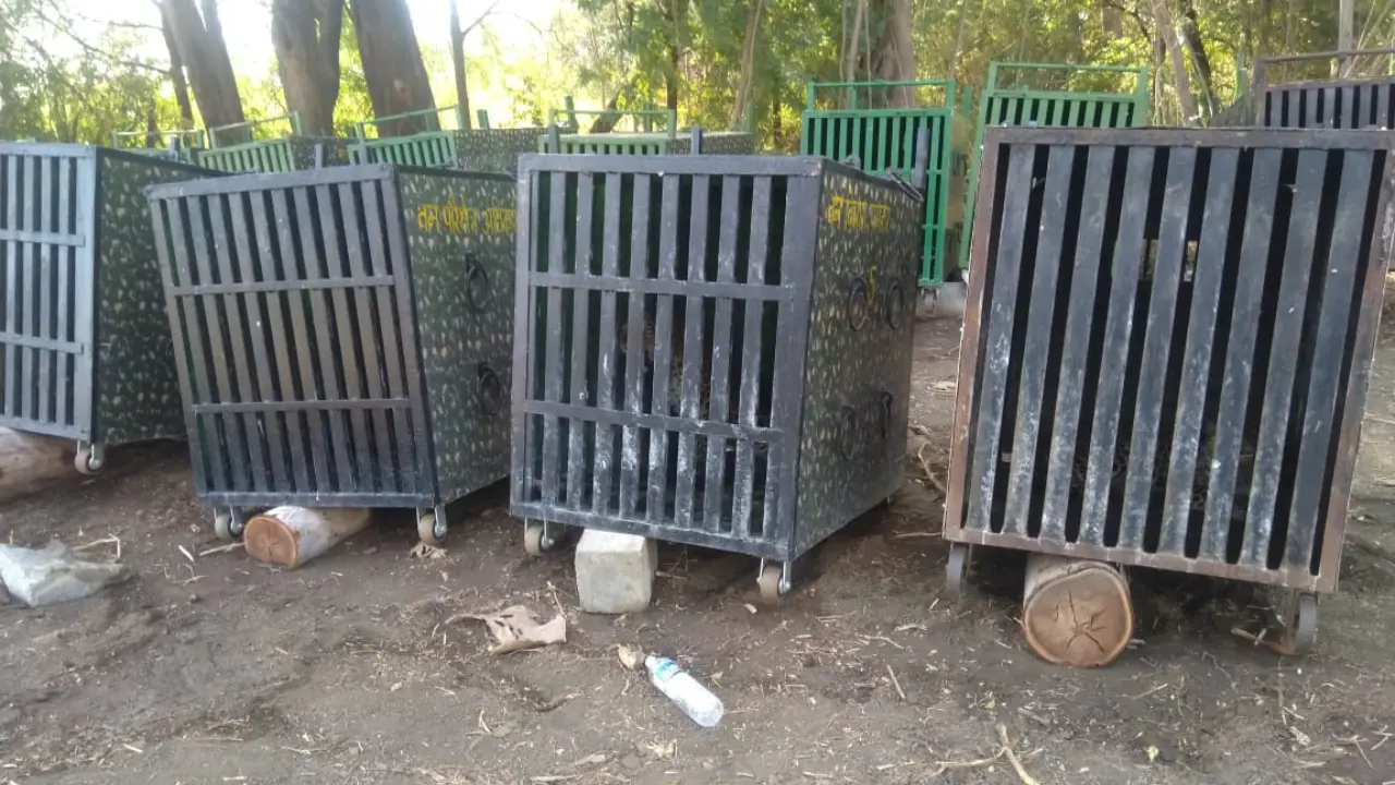 ​Wildlife enthusiast alleges prolonged confinement of 21 leopards in Ahilyanagar 