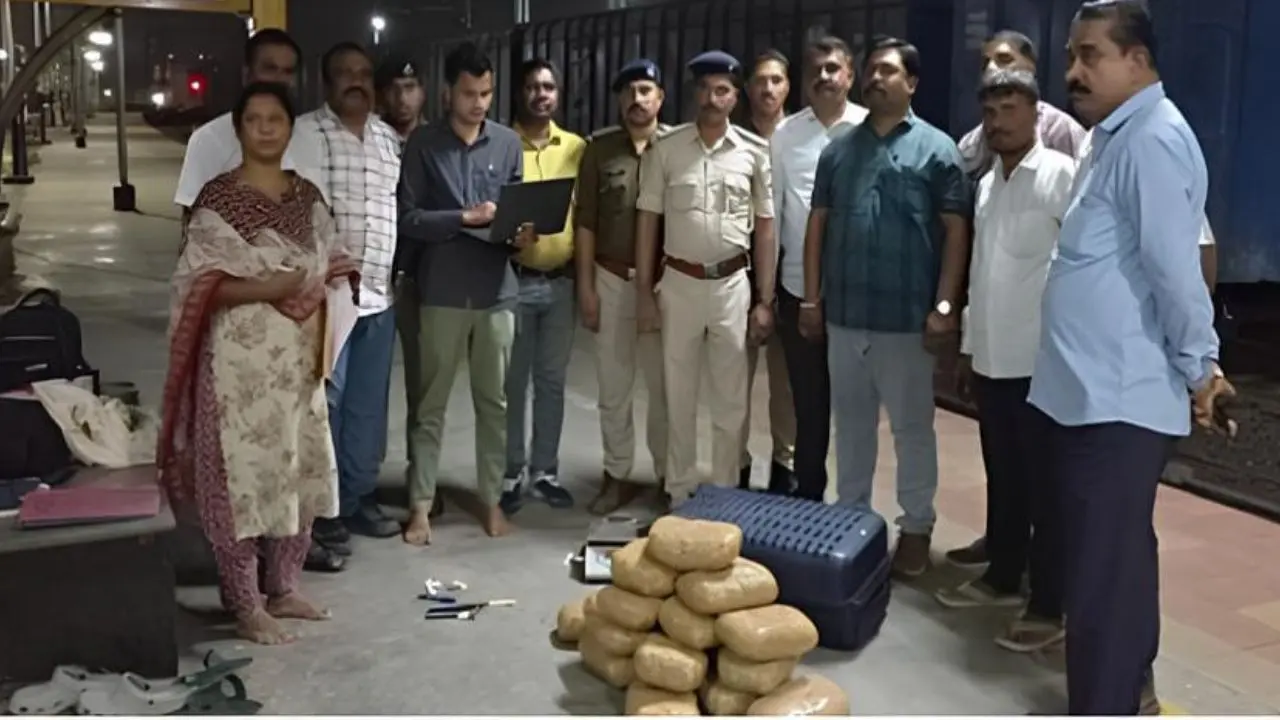 Central Railway RPF seizes 43 kg narcotics worth Rs 12.82 lakh in two operations