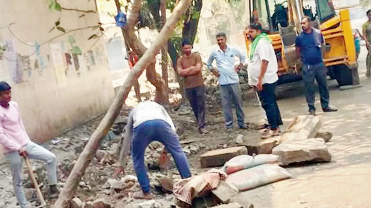 ​Beloved 20-year-old almond tree felled overnight, auto-rickshaw drivers mourn 