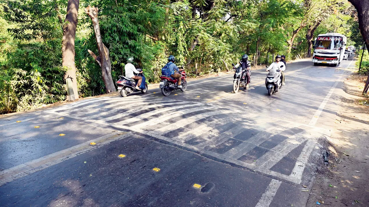 ​mid-day IMPACT: Aarey speed breakers get markings after mid-day report 