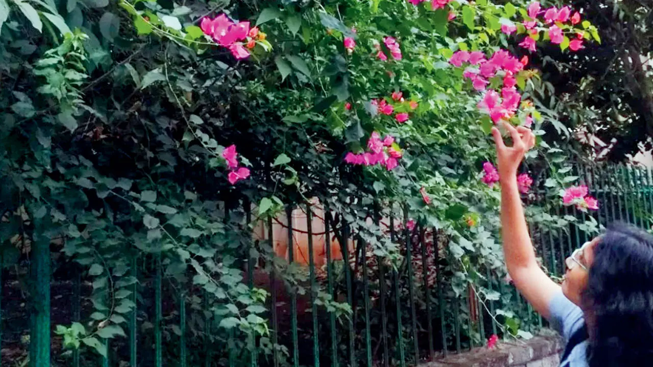 Why Gen-Z loves the idea of art walks in Mumbai