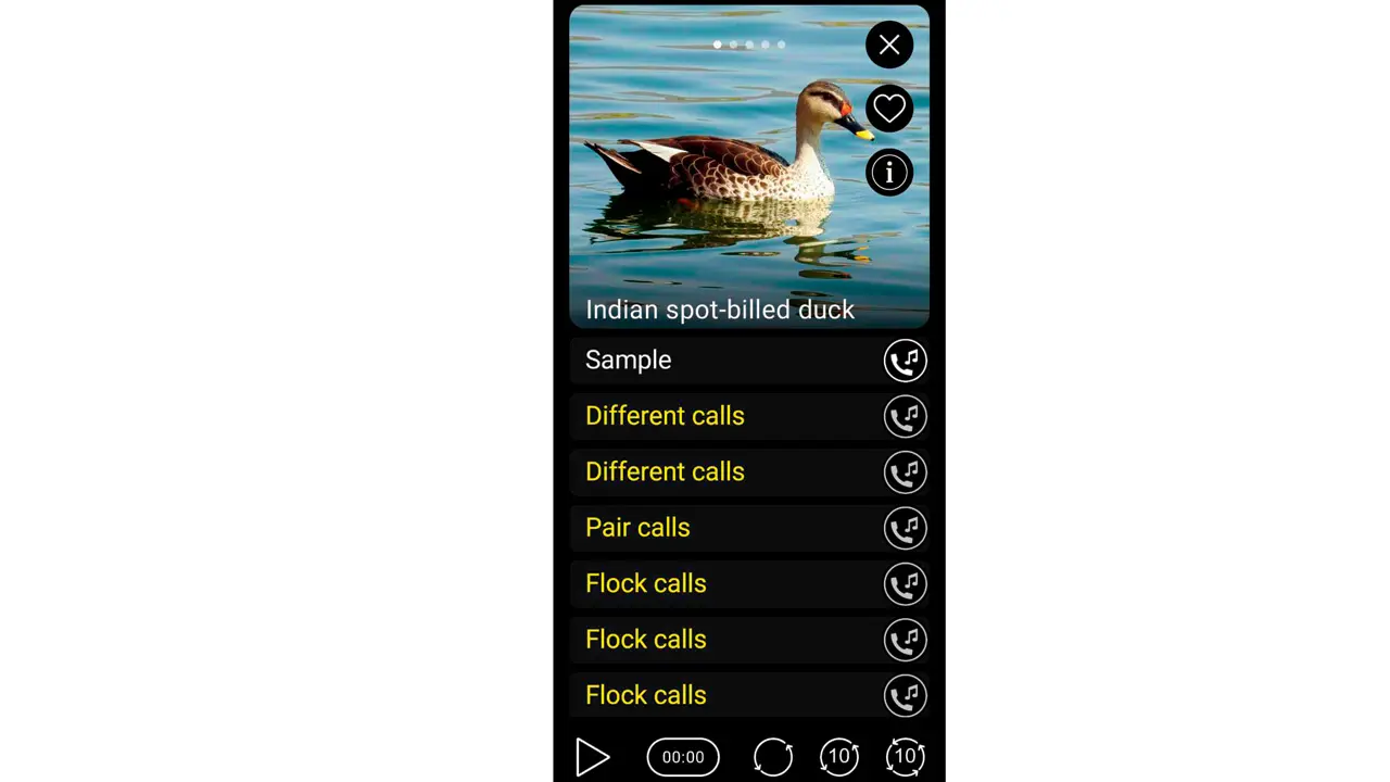 Check this interesting app to enjoy innovative ways to chat with your friends