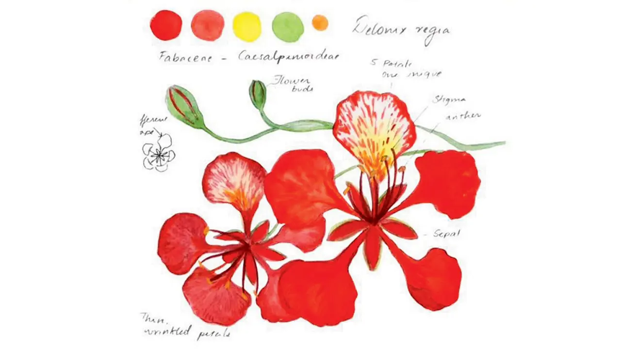 ​Creative workshops and wellness sessions to try in Mumbai this weekend 