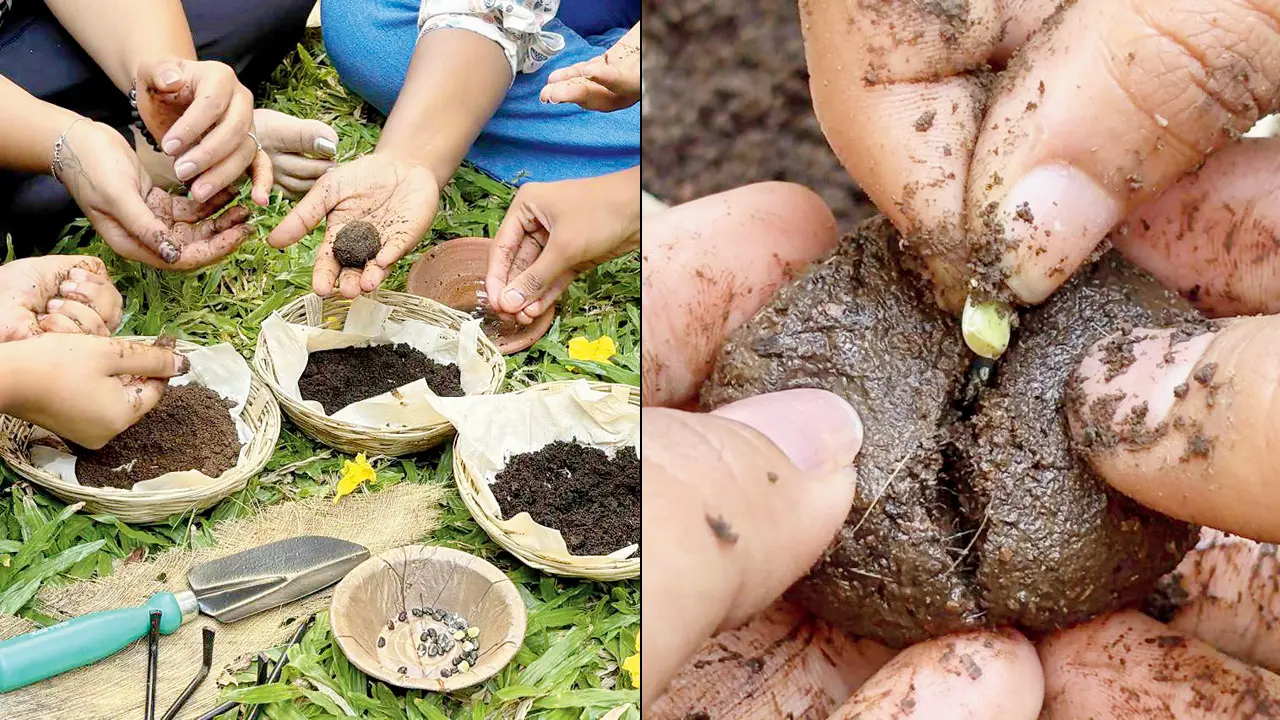Learn how to grow your own greens at this workshop in Mumbai