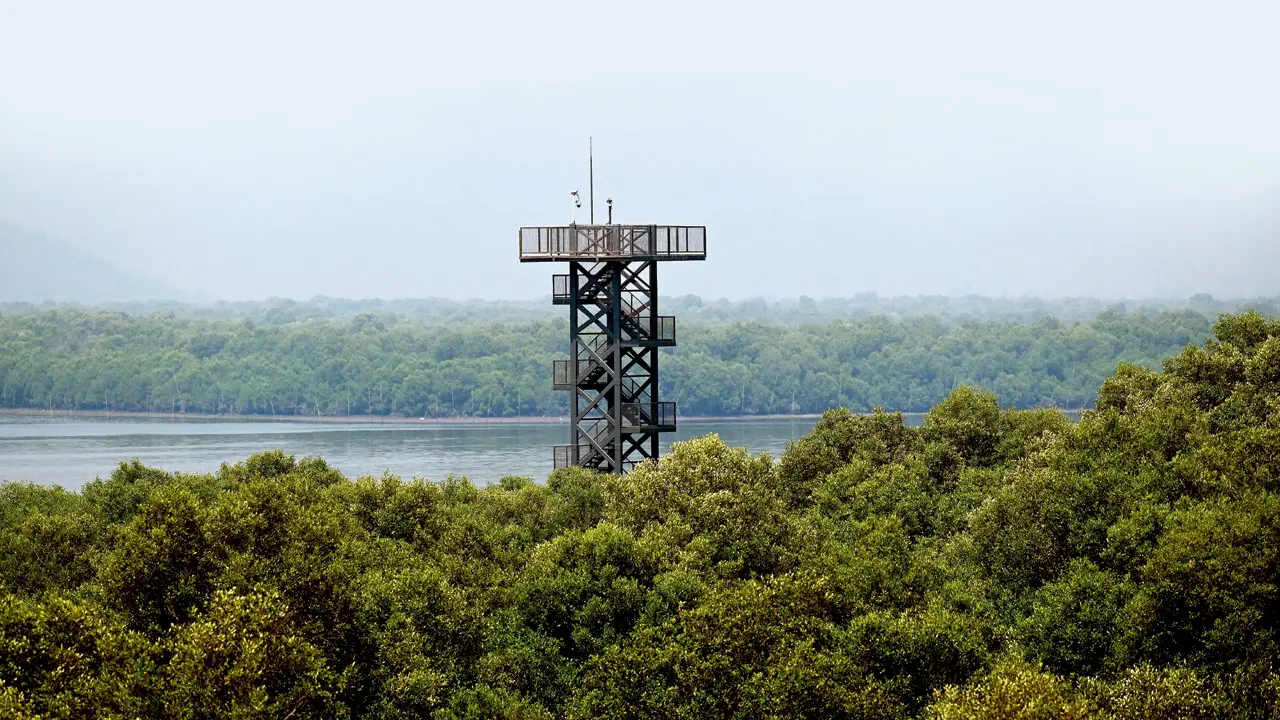 ​Mumbai`s Gorai mangrove park ready but stuck waiting for VIP inauguration 