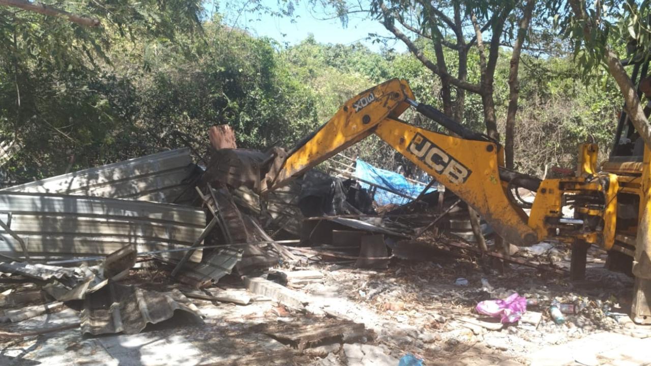 ​Mumbai: Encroachment removal drive conducted in Manori mangrove area 