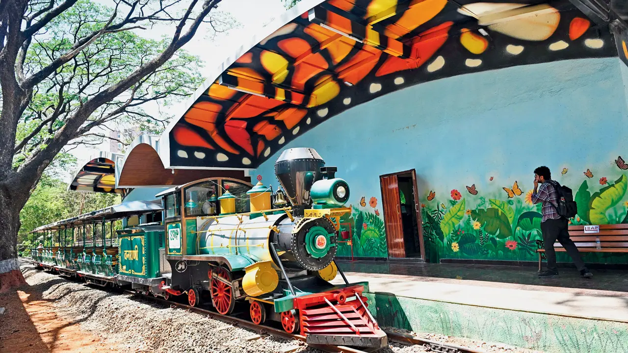 Van Rani chugs back to life at Sanjay Gandhi National Park, delighting visitors