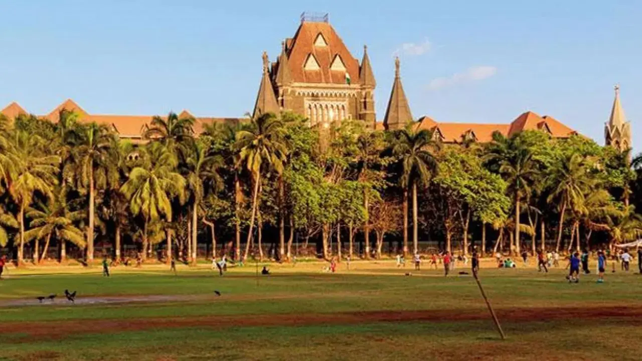​26/11 case | Security concerns justify refusal of police clearance to Ansari: HC 
