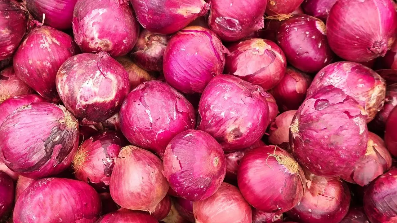 ​Maharashtra onion growers demand immediate MIS implementation amid price crash 