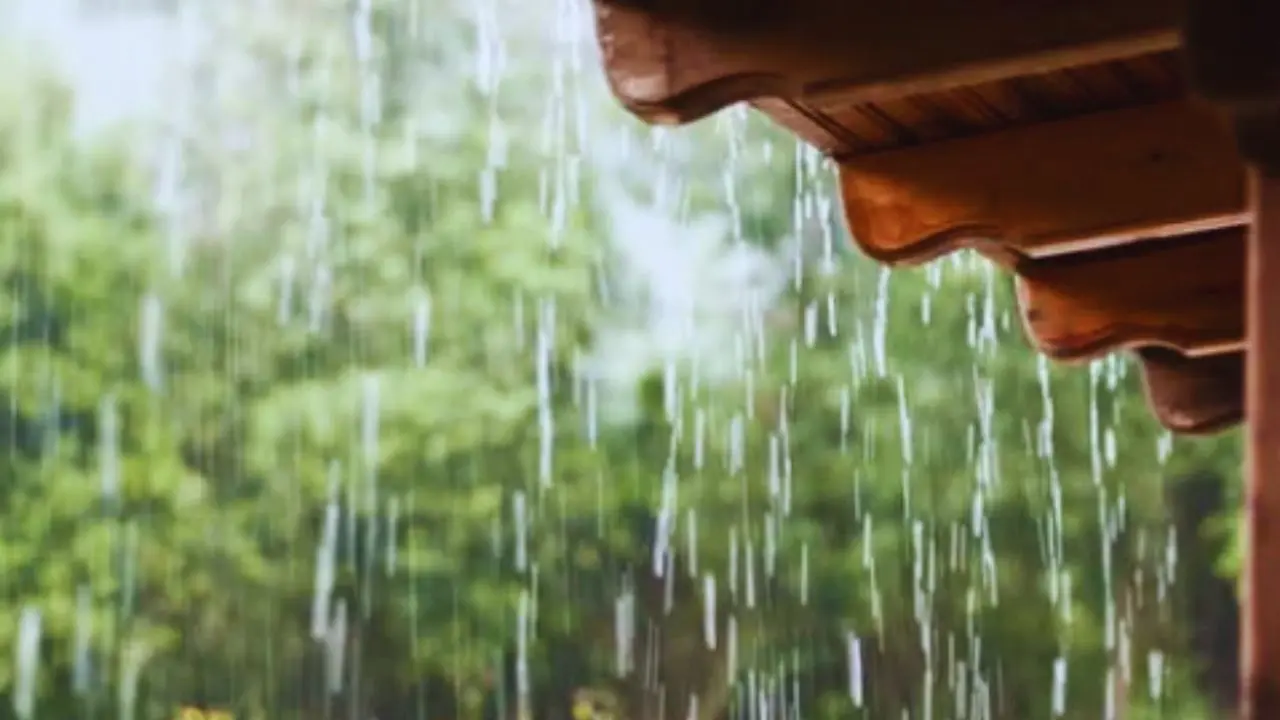 ​Mumbai weather update: Rain likely in city as IMD issues thunderstorm warnings 