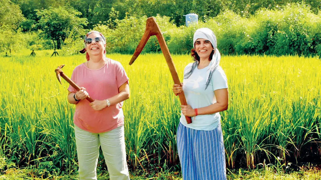 ​Two Mumbaikars share important lessons about farming in this new book 