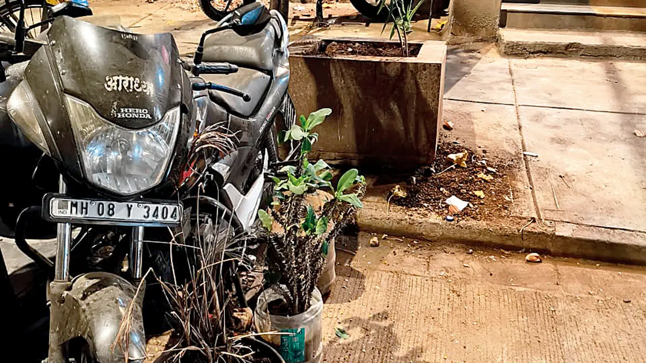 ​Mid-Day ask the govt: Society has taken over road 