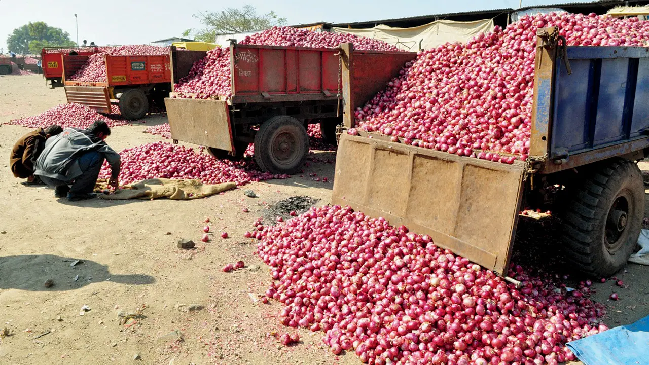 Senior Mahayuti leaders to meet HM Amit Shah over onion prices