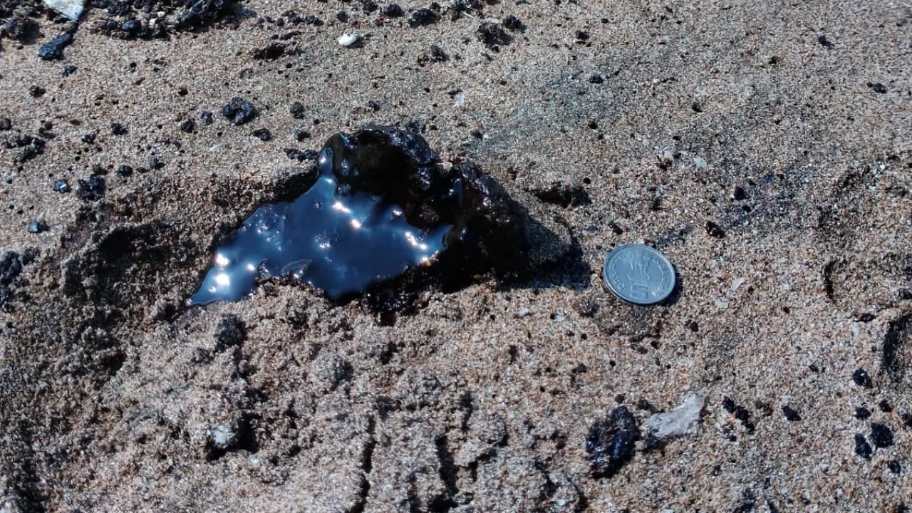 ​Tarballs wash ashore at Chowpatty, Juhu Beach in Mumbai 