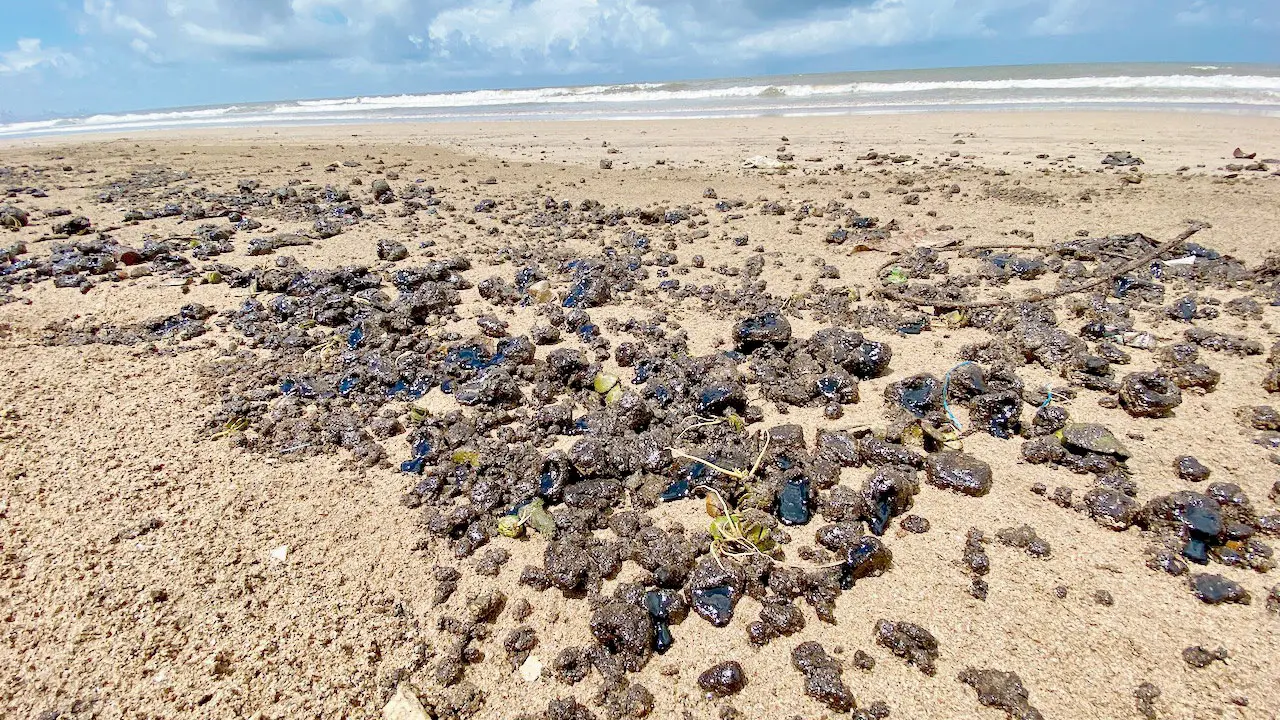 ​Mumbai’s shores turn slick again as tarballs mark another toxic season 