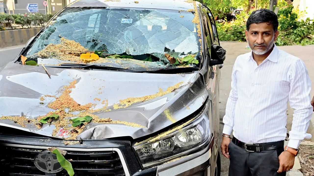 ​Miracle on Linking Road as cab escapes crushing fate after Peepal tree collapse 