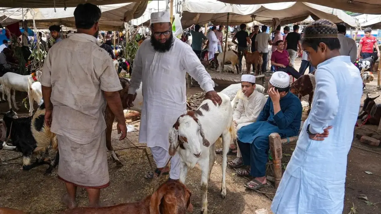 ​Mumbai: BJP leaders demands no `Bakrid Qurbani` in housing societies and chawls 