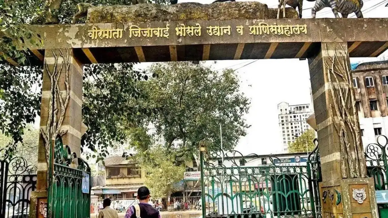 ​Mumbai: Byculla Zoo likely to get two Royal Bengal tigers 