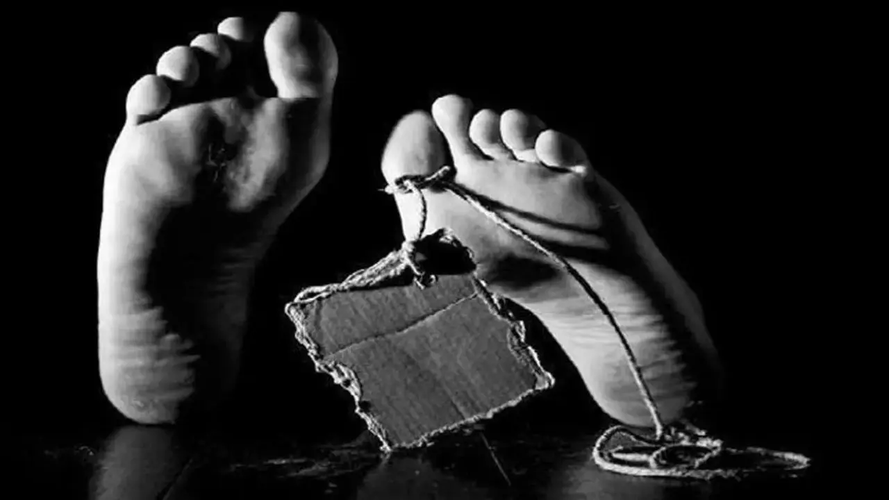 ​Mumbai: 14-year-old girl dies after tree falls on autorickshaw in Khar 