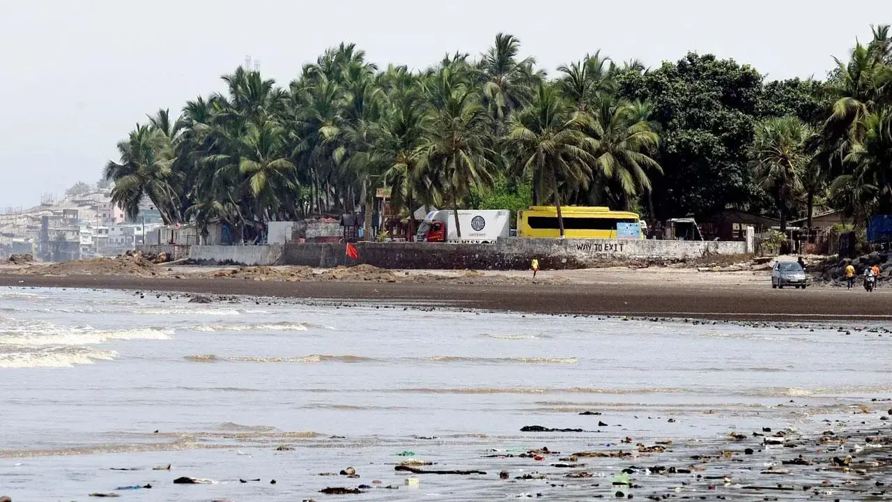 ​Mumbai’s Gorai Beach shines again after 3 years in major lighting project 