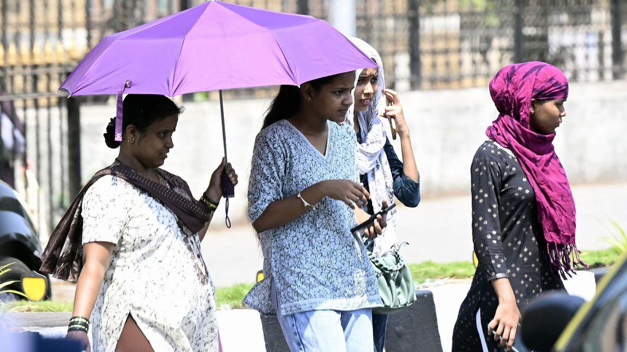 ​Mumbai weather update: IMD forecasts light rain amid heatwave conditions 